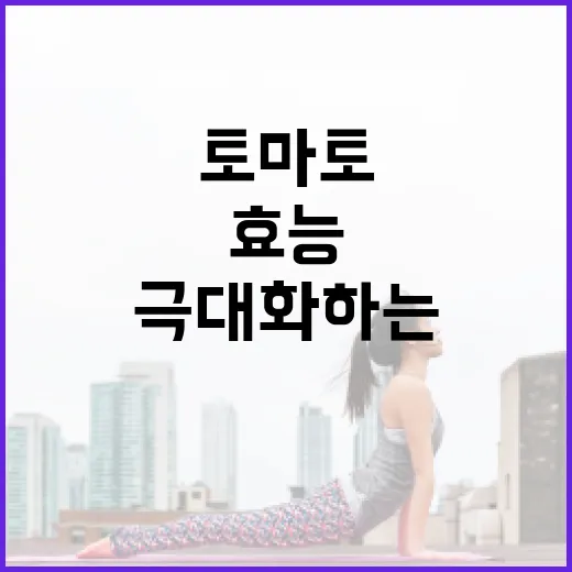 토마토의 건강 효능을 극대화하는 방법 - 요약