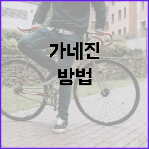 가네진을 효과적으로 사용하는 방법 - 요약