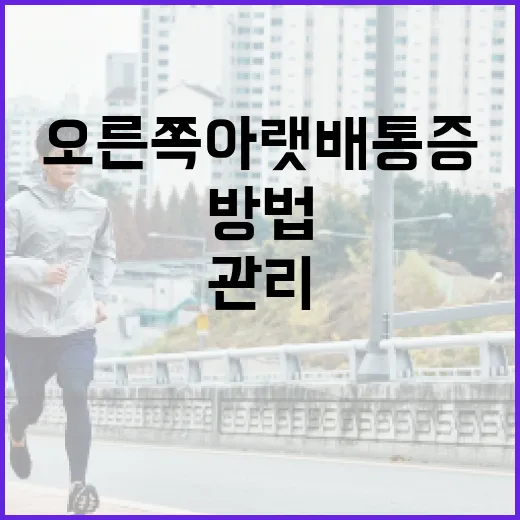 오른쪽 아랫배 통증을 관리하는 방법 - 요약