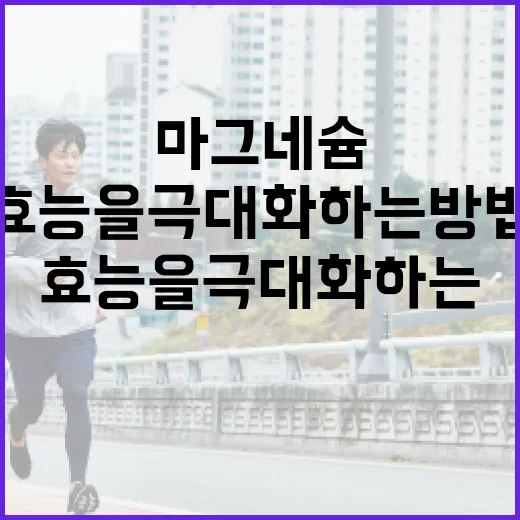 마그네슘 효능을 극대화하는 방법 - 요약