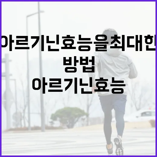 아르기닌 효능을 최대한 활용하는 방법 - 요약