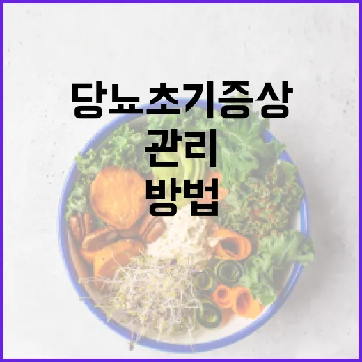 당뇨 초기증상을 인식하고 관리하는 방법 - 요약