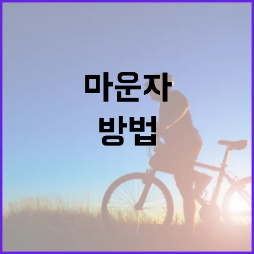마운자를 합리적으로 구매하는 방법 - 요약