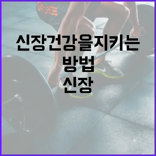 신장 건강을 지키는 음식 선택 방법 - 요약