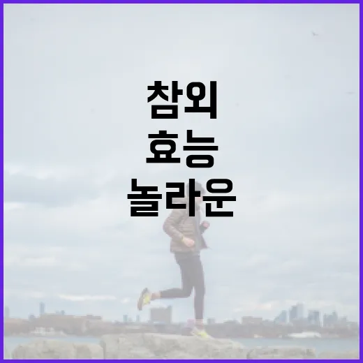 참외의 놀라운 건강 효능을 알아보는 방법 - 요약