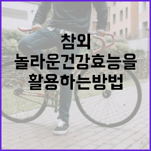 참외의 놀라운 건강 효능을 최대한 활용하는 방법 - 요약