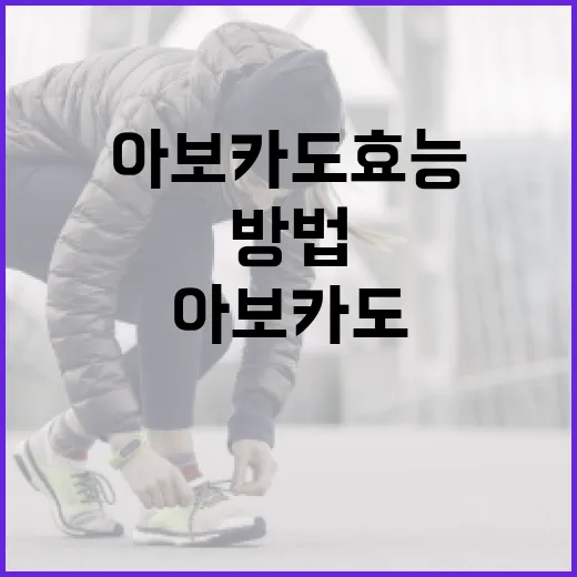 아보카도 효능을 극대화하는 방법 - 요약