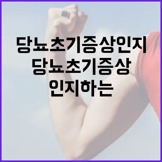 당뇨 초기증상 인지하는 방법 - 요약