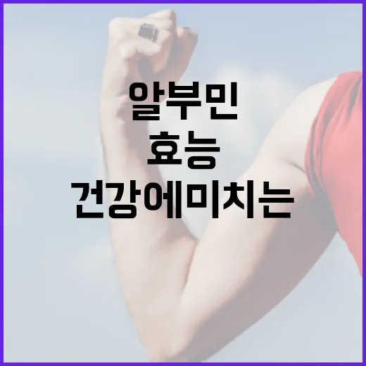 알부민의 효능과 건강에 미치는 긍정적 영향 알아보기 - 요약