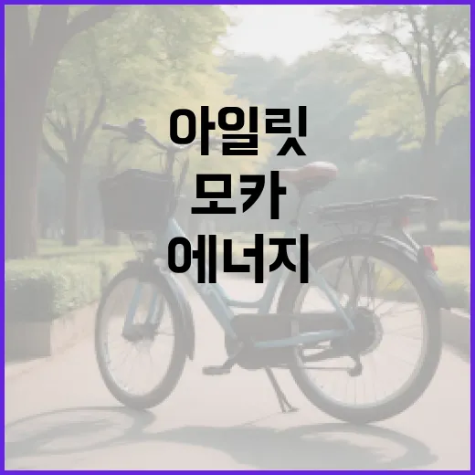 아일릿 모카로 에너지 충전하는 방법 - 요약