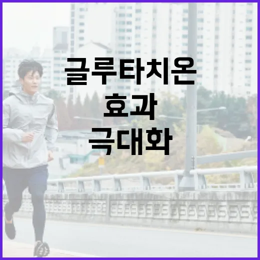 글루타치온 효과를 극대화하는 방법 - 요약