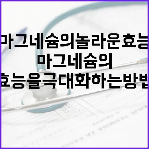 마그네슘의 놀라운 …