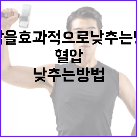 혈압을 효과적으로 낮추는 방법 - 요약