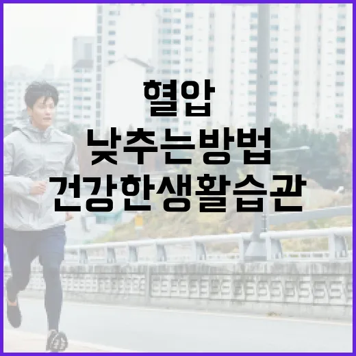 혈압을 낮추는 방법: 건강한 생활 습관을 통해 혈압 관리하기 - 요약