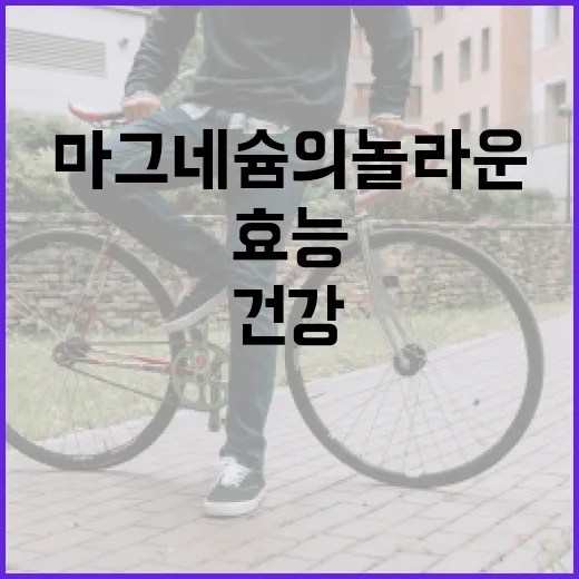 마그네슘의 놀라운 건강 효능을 알아보는 방법 - 요약