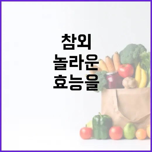 참외의 놀라운 효능을 최대한 활용하는 방법 - 요약