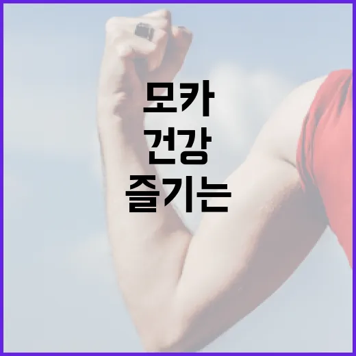 아일릿 모카를 즐기는 방법: 맛과 건강을 동시에! - 요약