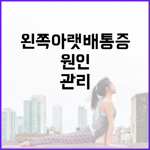 왼쪽 아랫배 통증의 원인과 관리 방법 - 요약