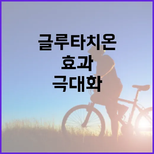 글루타치온 효과를 극대화하는 방법 - 요약