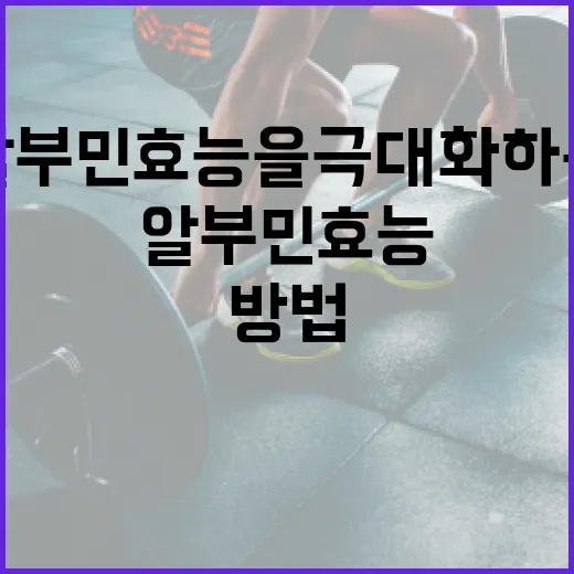 알부민 효능을 극대화하는 방법 - 요약