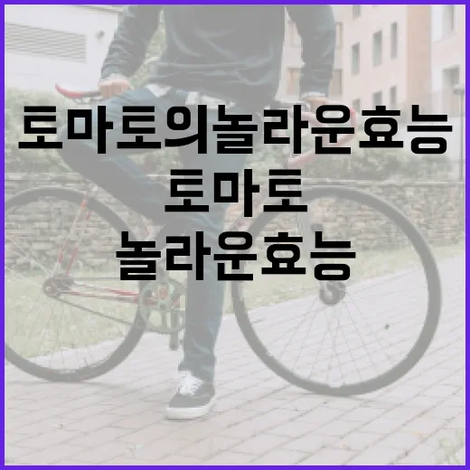 토마토의 놀라운 효능을 최대한 활용하는 방법 - 요약
