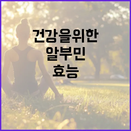 알부민의 효능과 건강을 위한 활용 방법 - 요약