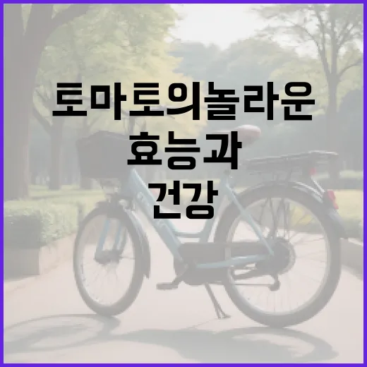 토마토의 놀라운 건강 효능과 섭취 방법 - 요약