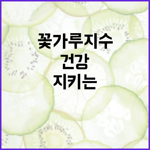 꽃가루지수가 높은 날 건강을 지키는 방법 - 요약