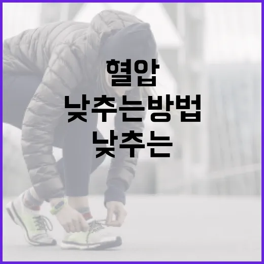 혈압을 안전하게 낮추는 방법 - 요약