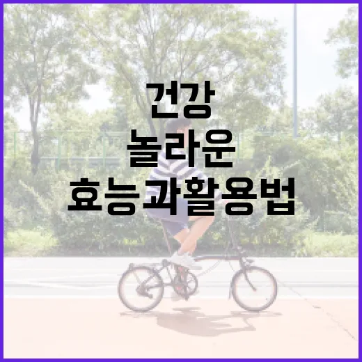 아보카도의 놀라운 건강 효능과 활용법 - 요약