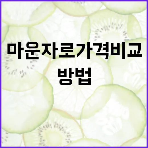 마운자로 가격 비교 및 선택 방법 - 요약