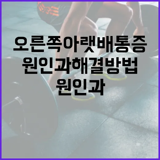 오른쪽 아랫배 통증의 원인과 해결 방법 - 요약