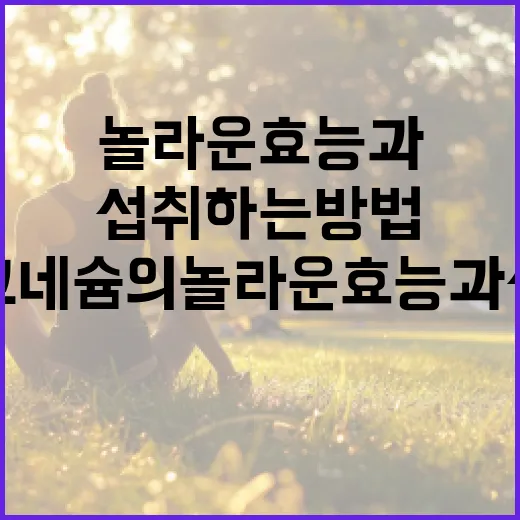 마그네슘의 놀라운 효능과 섭취하는 방법 - 요약