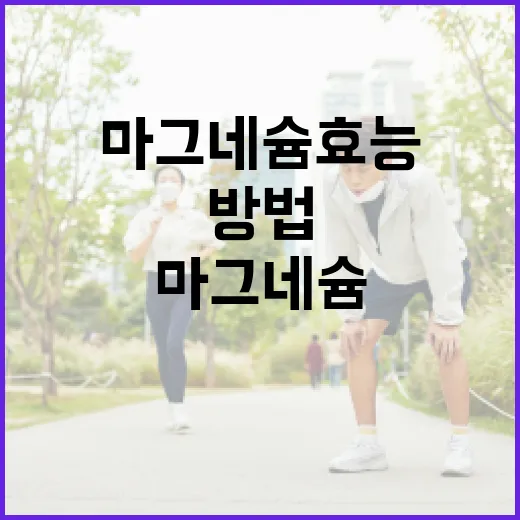 마그네슘 효능을 제대로 활용하는 방법 - 요약