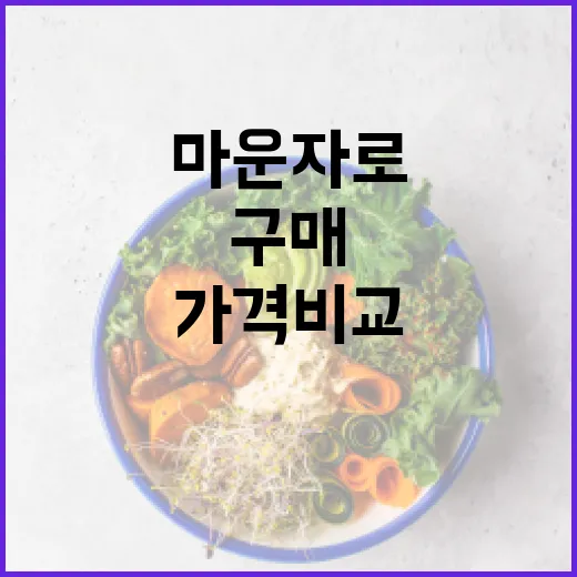 마운자로를 구매하려면 가격 비교는 이렇게 - 요약