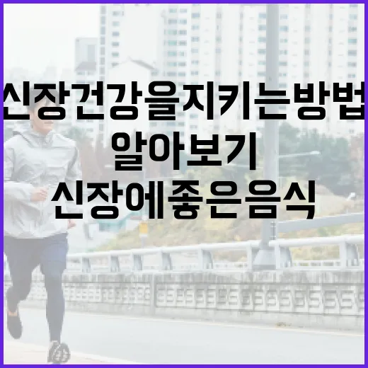 신장 건강을 지키는 방법: 신장에 좋은 음식 알아보기 - 요약
