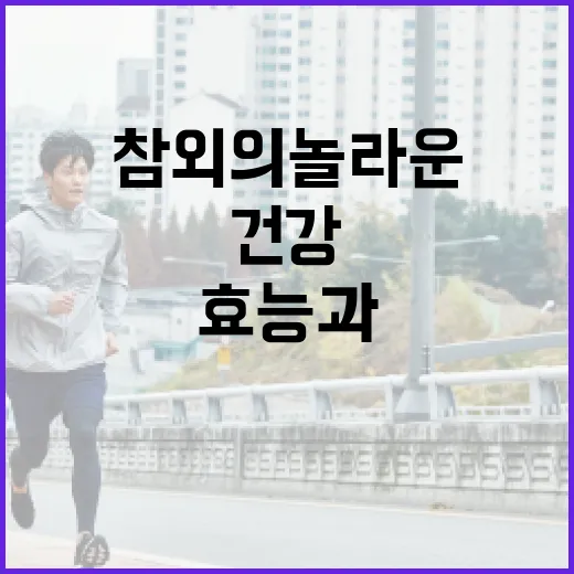 참외의 놀라운 효능과 건강하게 섭취하는 방법 - 요약