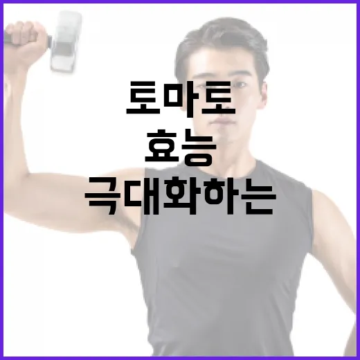 토마토의 효능을 극대화하는 방법 - 요약