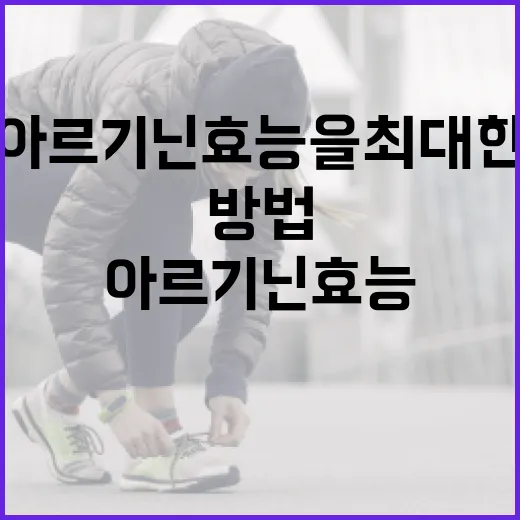 아르기닌 효능을 최대한 활용하는 방법 - 요약