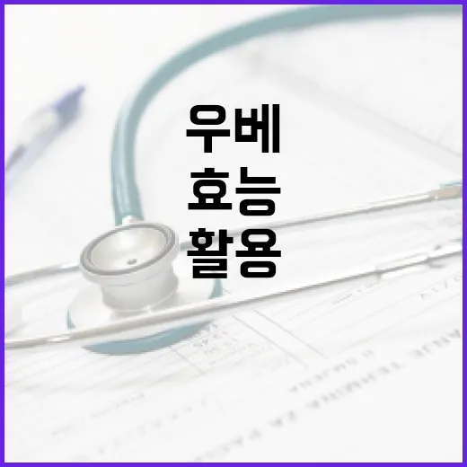 우베의 건강 효능을 최대한 활용하는 방법 - 요약