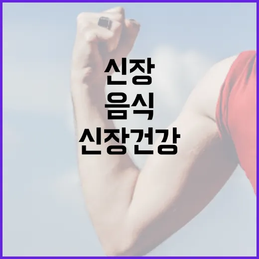 신장 건강을 지키는 음식 섭취 방법 - 요약