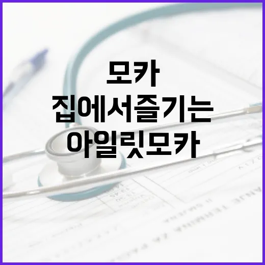 아일릿 모카를 집에서 즐기는 방법 - 요약