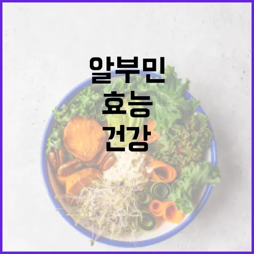 알부민의 효능과 활용 방법: 건강을 위한 필수 정보 - 요약