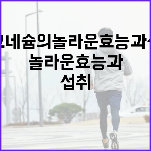 마그네슘의 놀라운 효능과 섭취 방법 - 요약
