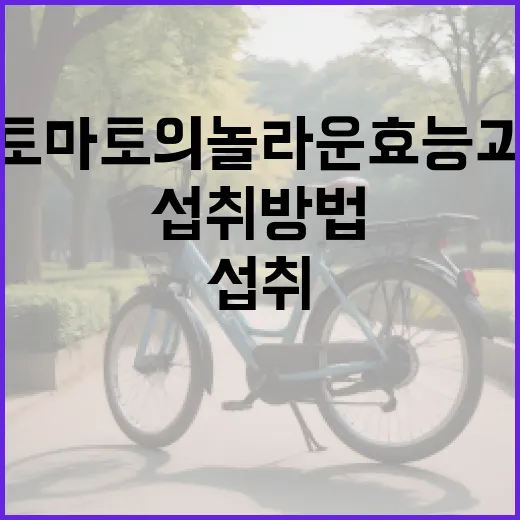 토마토의 놀라운 효능과 섭취 방법 - 요약