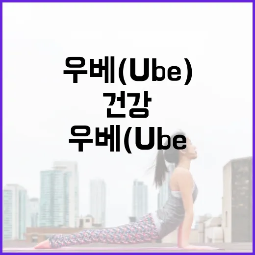 우베(Ube)란? 우베를 활용한 건강한 식단 구성 방법 - 요약