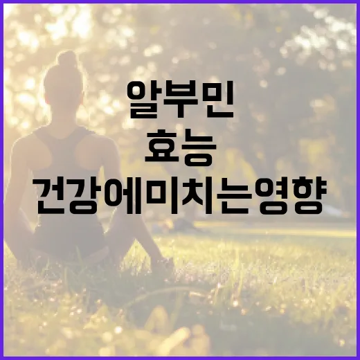 알부민의 효능과 건강에 미치는 영향 이해하기 - 요약