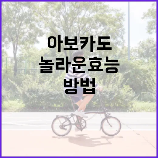 아보카도의 놀라운 효능을 극대화하는 방법 - 요약