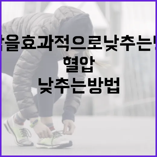 혈압을 효과적으로 낮추는 방법 - 요약
