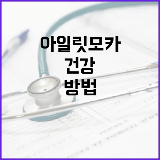 아일릿 모카로 건강하게 지내는 방법 - 요약